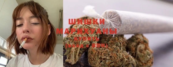 прущие крисы Пестово