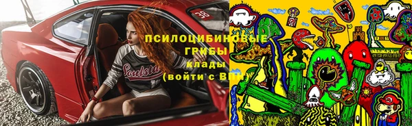 прущие крисы Пестово