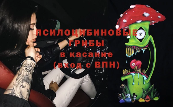 тгк Пересвет
