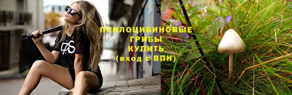 ПСИЛОЦИБИНОВЫЕ ГРИБЫ Гатчина