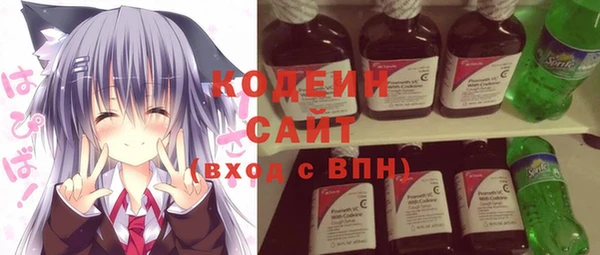 гашик Переславль-Залесский