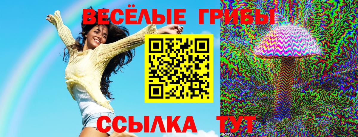 Удомля  наркотики  Вход с VPN  Псилоцибиновые грибы мицелий  Псилоцибиновые грибы Cubensis 